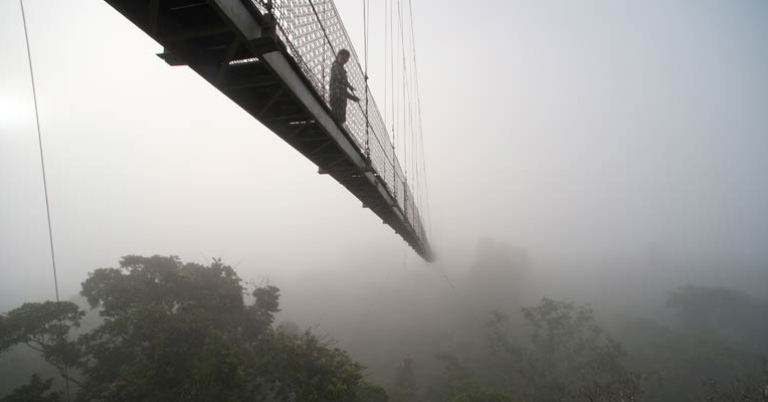 Canopy walkway at Sacha Lodge