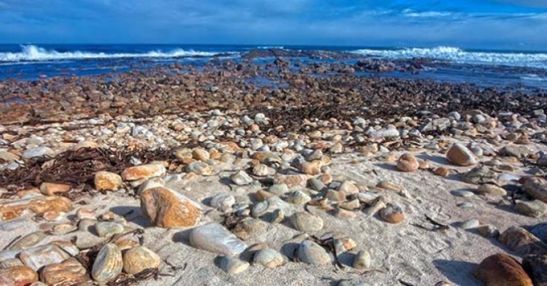Cape of Good Hope beach