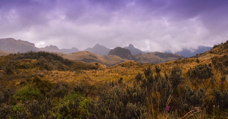 Cayambe-Coca Reserve