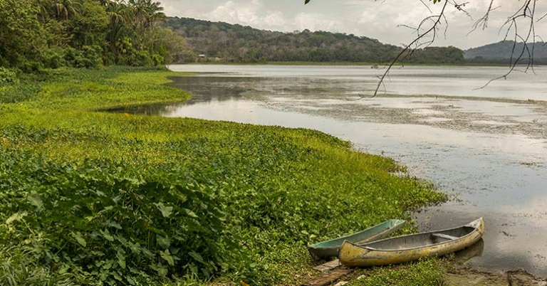 The Chagres River in Gamboa