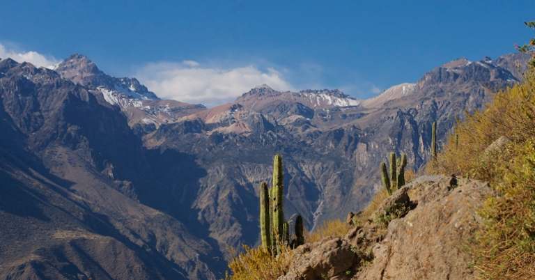 Colca Canyon