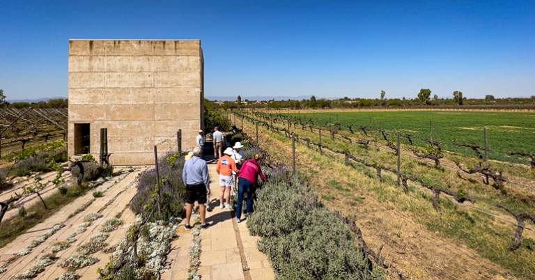 Cuna de Tierra winery