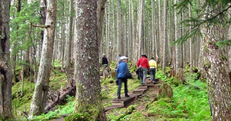 Hiking on the Heney Ridge Trail