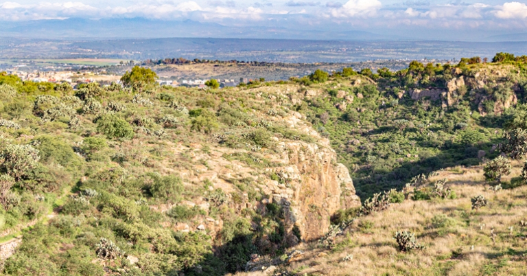 El Charco del Ingenio Botanical Garden and Nature Reserve