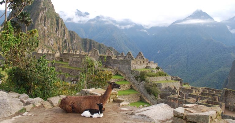 Machu Picchu