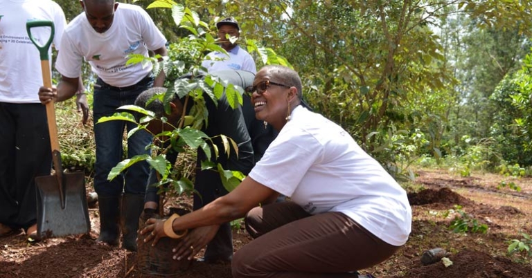 Photo by Green Belt Movement