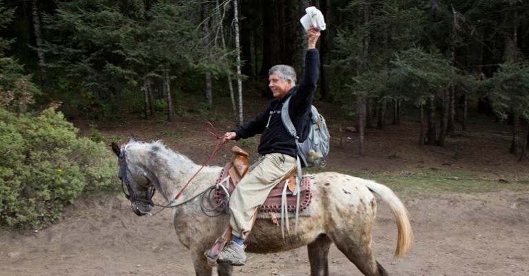 Horseback ride through Sierra Chincua