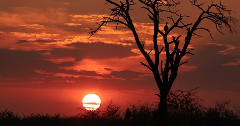 Sunset in Namibia