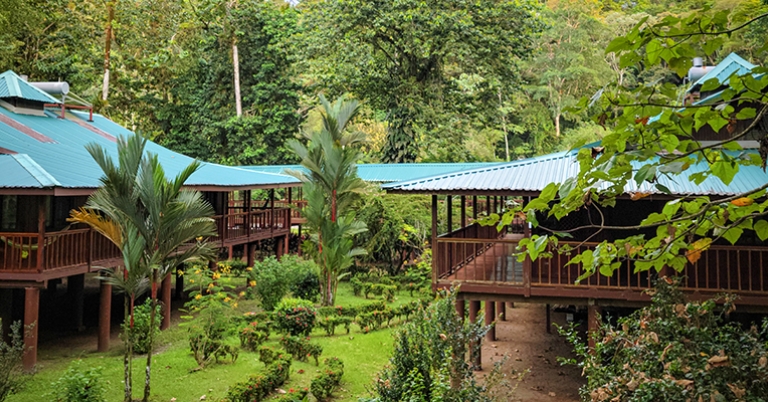Selva Verde Lodge