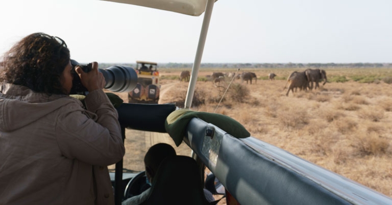 Photographing elephants