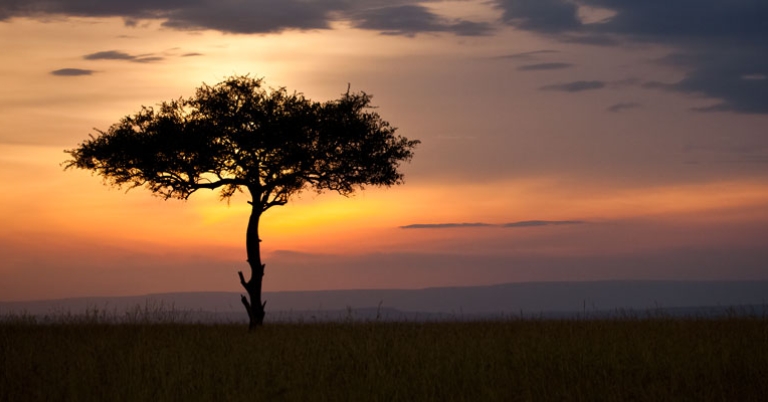 Kenya sunset
