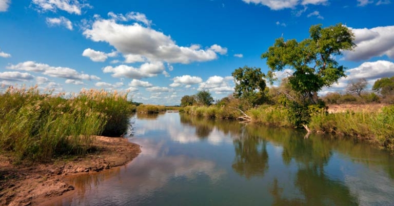 Sabie River, Kruger National Park