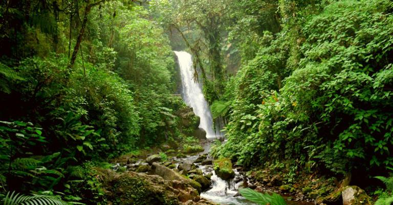 La Paz Waterfall Gardens