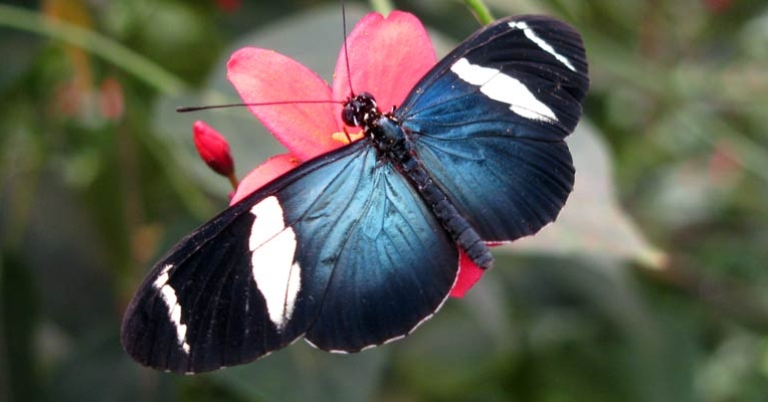 Photo by Christa Markley