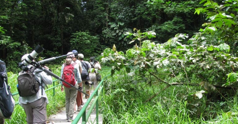 Trails at La Selva