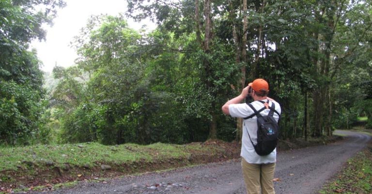 Birding at La Selva Biological Station