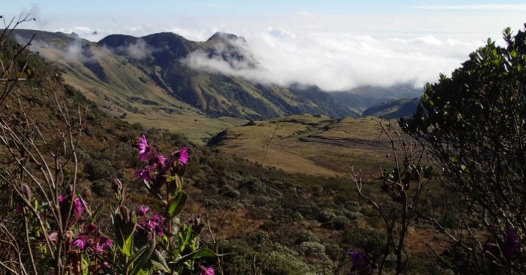 Los Nevados National Park