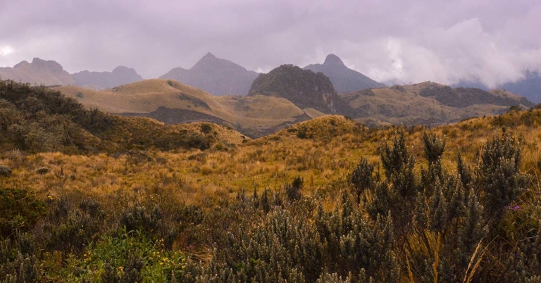 Cayambe-Coca Reserve