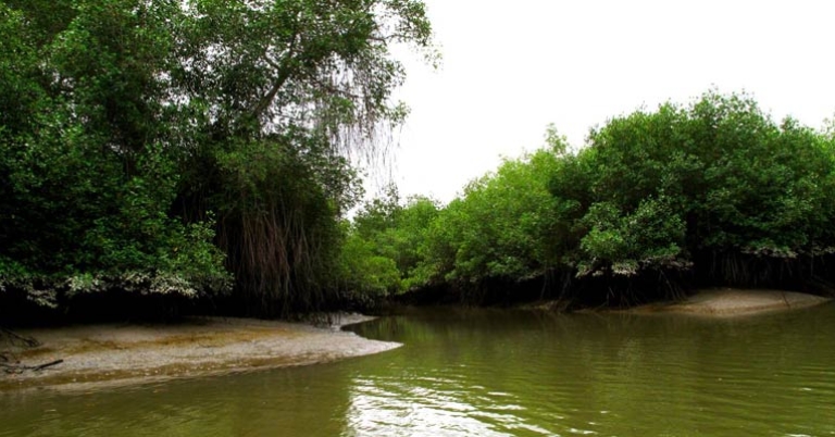 Manglares Churute Ecological Reserve