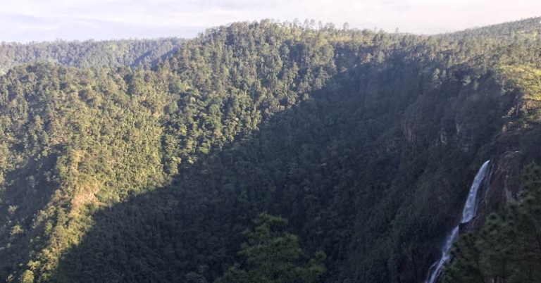 Mountain Pine Ridge Valley