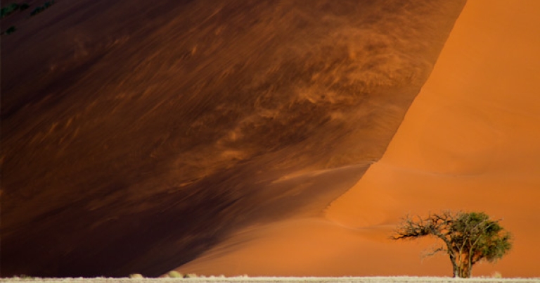 Namibia dune