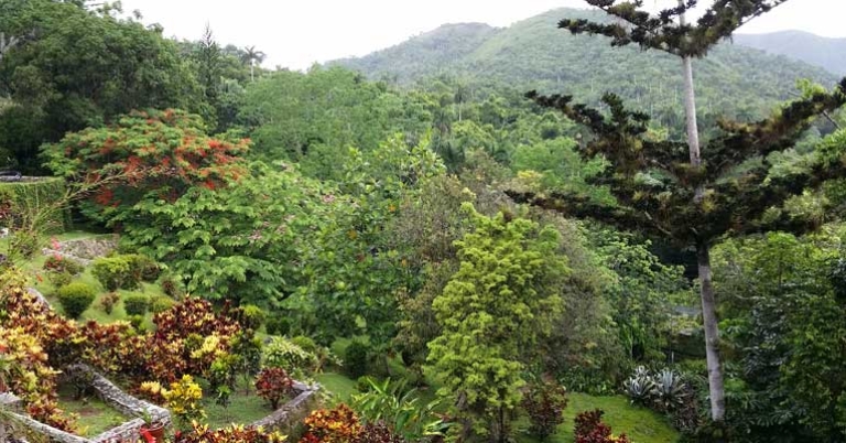 Orchid Garden at Soroa