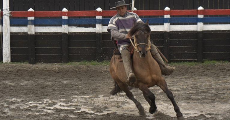 Huasos are the Chilean equivalent of the Argentine 'gaucho' or Mexican 'charro'