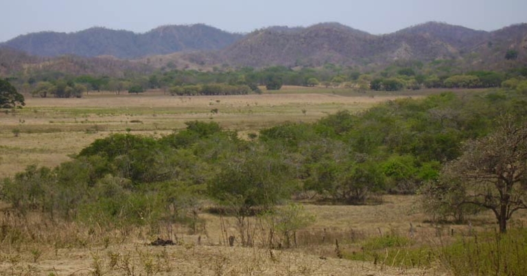 Guanacaste landscape