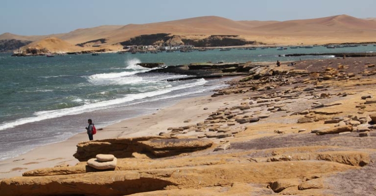 Paracas National Reserve
