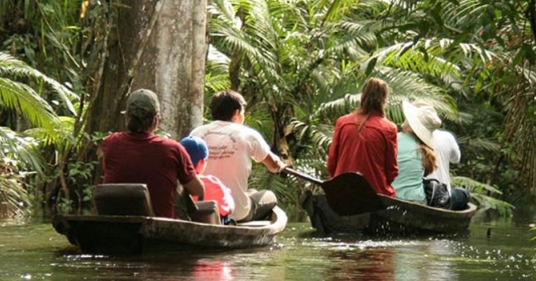 Exploring the Amazon