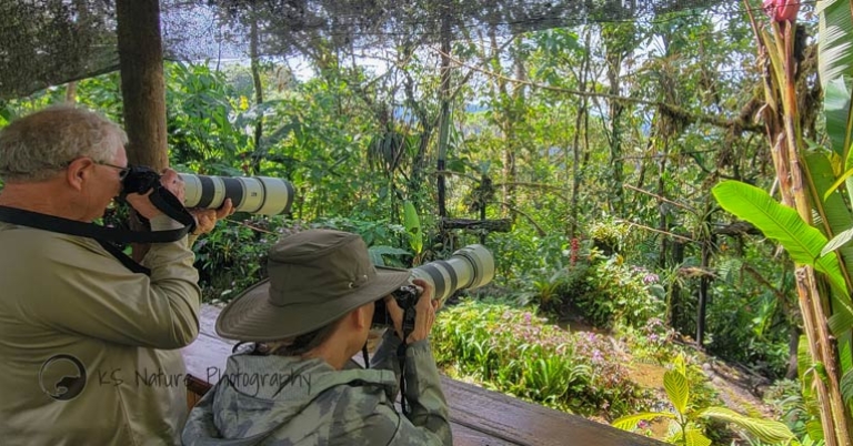 Bird photography in Ecuador