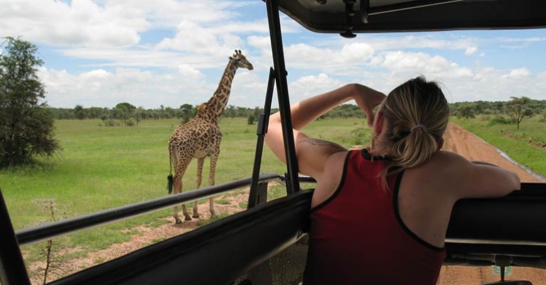 Photographing a giraffe