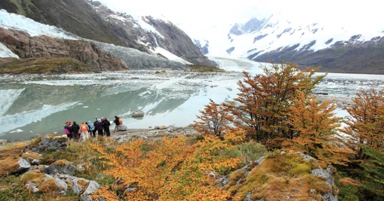 Pia Glacier