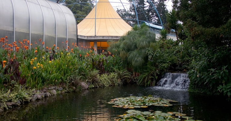 Quito Botanical Garden