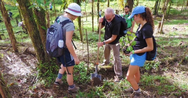 Participate in a reforestation project