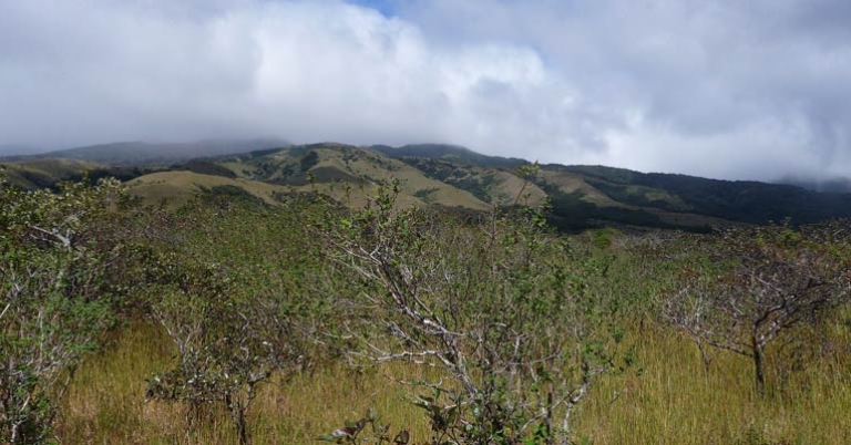 Landscapes around Buena Vista Lodge