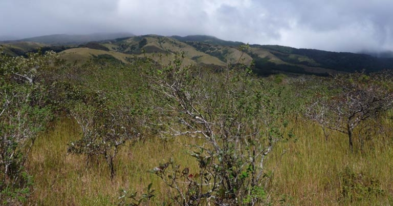 Rincon de la Vieja National Park