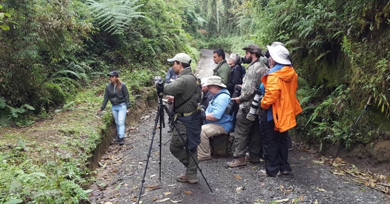 Birding the trails of Rio Blanco