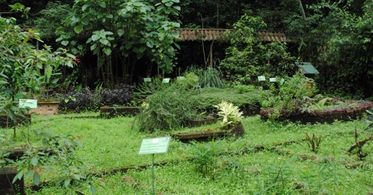 Selva Verde Botanical Gardens