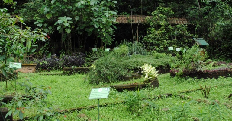 Selva Verde Botanical Gardens