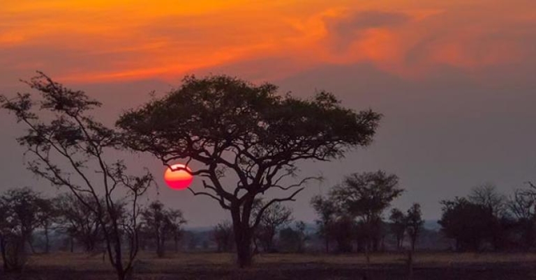 Breathtaking view at Serengeti National Park