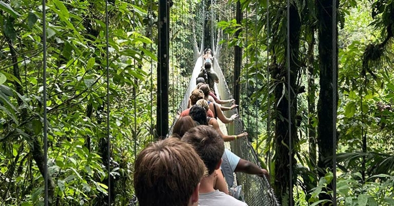 Students on suspension bridge