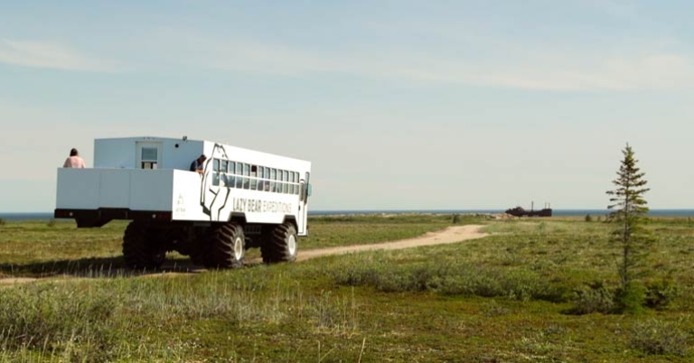 Summer tundra tour