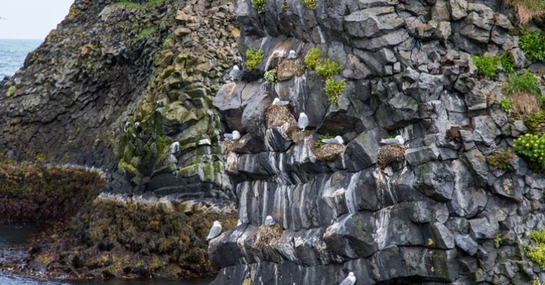 Rock formations in Snæfellsnes Peninsula
