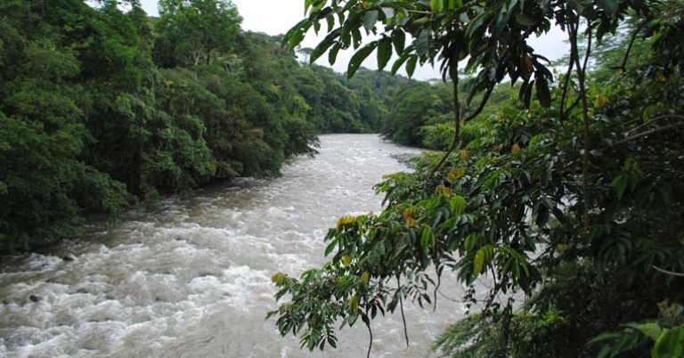 Tirimbina - Rio Sarapiqui