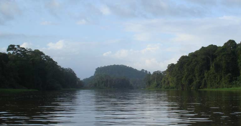 Tortuguero bay