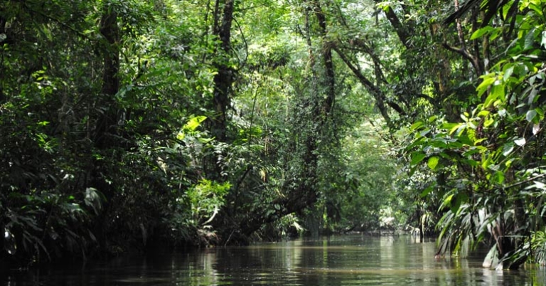 Tortuguero National Park