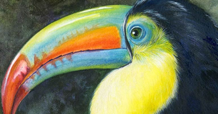 Keel-billed Toucan