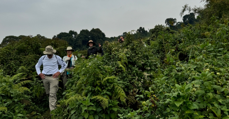 Trekking in Rwanda