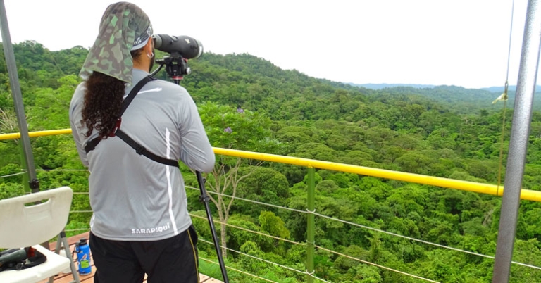 View from EcoVida hawk watch tower